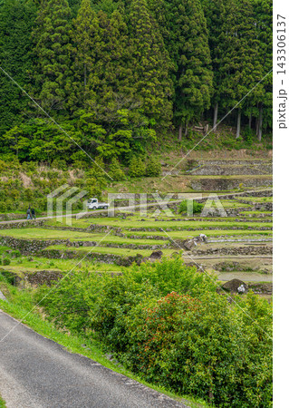 新城市の田植え前の四谷の千枚田の風景 新城市の田植え前の四谷の千枚田の風景 143306137