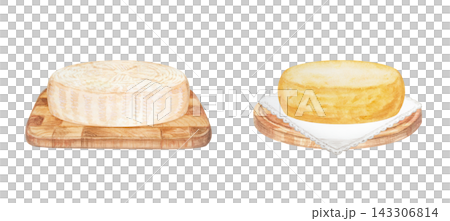 Artisan cheese wheels set on wooden cutting boards with lace napkin. Hand drawn watercolor illustration isolated on. Realistic detailed food clipart for menu design 143306814