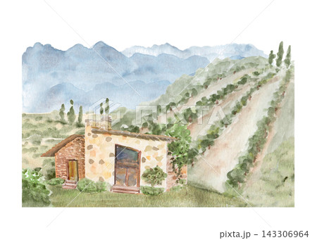 Watercolor vineyard landscape with rustic stone house, grape rows, green hills and blue mountains, hand painted. Rural scenery for wine themes, travel, tourism, packaging, branding and backgrounds 143306964