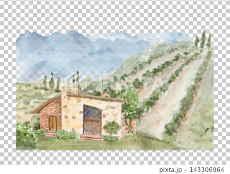 Watercolor vineyard landscape with rustic stone house, grape rows, green hills and blue mountains, hand painted. Rural scenery for wine themes, travel, tourism, packaging, branding and backgrounds 143306964