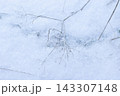 Delicate dried grass stems dusted with frost rest on a soft snowy ground 143307148