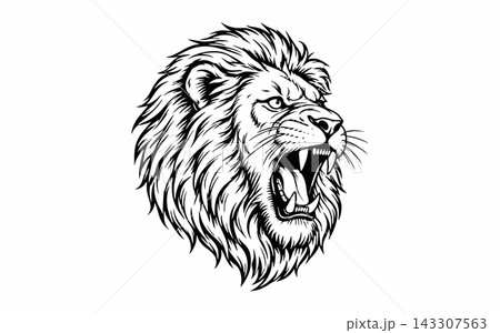 Roaring Lion Profile Vector Illustration 143307563