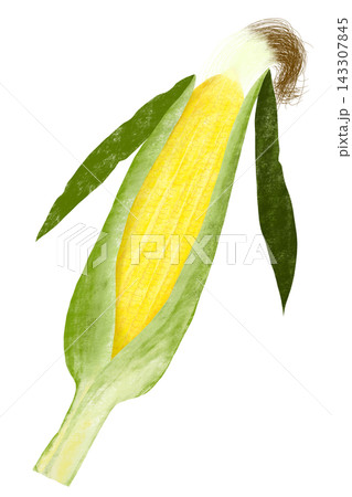クレヨンタッチの野菜＆果物シリーズ「とうもろこし」 143307845
