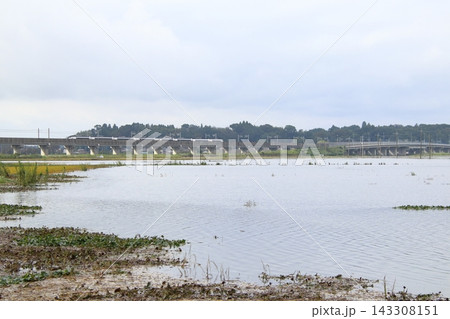 冠水する印旛沼を行く京成特急スカイライナー(令和8年9月千葉豪雨) 冠水する印旛沼を行く京成特急スカイライナー(令和8年9月千葉豪雨) 143308151