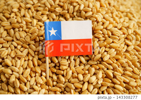 Chile flag on grain wheat, trade export and economy concept. Chile flag on grain wheat, trade export and economy concept. 143308277