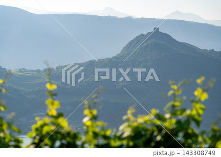 A scenic path through a lush vineyard overlooking a beautiful lake and mountains in Italy 143308749