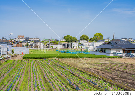 磐田市のビニールハウスと畑と街並み(静岡県) 磐田市のビニールハウスと畑と街並み(静岡県) 143309095
