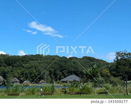 青空が広がる広大な自然公園を散歩する人々 143309277