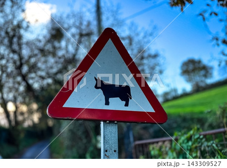 Cattle Crossing Warning Sign in Rural Landscape Cattle Crossing Warning Sign in Rural Landscape 143309527