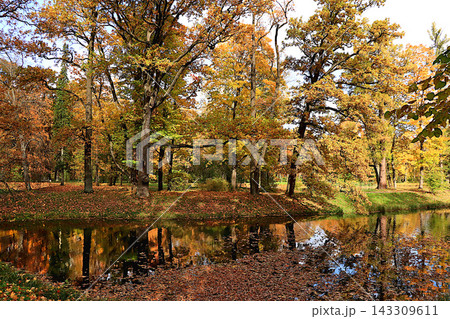 Autumn park in Russia in September,Lake surrounded by red and yellow foliage, with its reflection in the water on sunny day. picturesque autumn park landscape,vibrant autumn banner, Autumn park in Russia in September,Lake surrounded by red and yellow foliage, with its reflection in the water on sunny day. picturesque autumn park landscape,vibrant autumn banner, 143309611