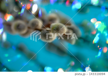 Simple botanical still life presents willow branches gathered into bouquet. Clear composition emphasizes balance, negative space, and natural form 143310094