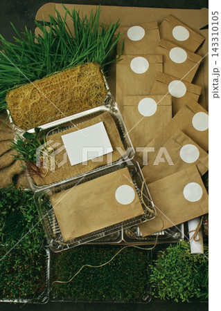 Microgreens starter kit with sprouted trays and natural materials. Balanced design combines practical gardening tools with organic growth. 143310105