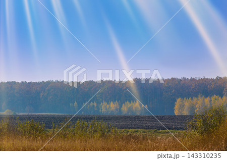 Tranquil farm environment showcases seasonal changes in agricultural region. Agricultural field and empty vegetable garden during autumn season Tranquil farm environment showcases seasonal changes in agricultural region. Agricultural field and empty vegetable garden during autumn season 143310235