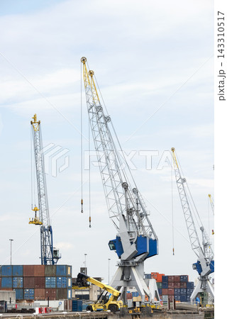 Port Cranes and Cargo Containers at Industrial Shipping Dock 143310517