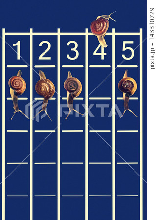 Snail Race on Blue Track with Numbered Lanes 143310729