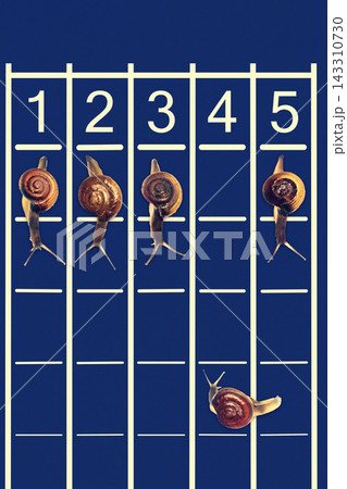 Snail Race on Blue Track with Numbered Lanes Snail Race on Blue Track with Numbered Lanes 143310730