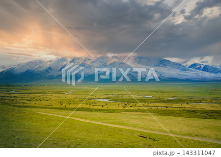 Tibetan Plateau Landscape with Snow Capped Mountains and Pastoral Grassland at Sunset Tibetan Plateau Landscape with Snow Capped Mountains and Pastoral Grassland at Sunset 143311047