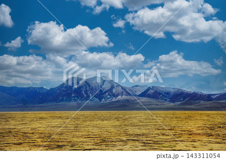 Vast Tibetan Plateau Landscape with Snow Capped Mountains and Golden Grassland under Blue Sky Vast Tibetan Plateau Landscape with Snow Capped Mountains and Golden Grassland under Blue Sky 143311054