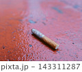 Discarded cigarette on wet ground 143311287