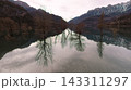 Submerged trees in Mediano reservoir mountains 143311297