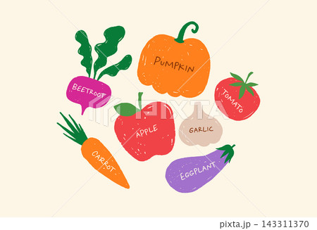Hand drawn vegetables and fruits, including beetroot, pumpkin, carrot, tomato, apple, garlic and 143311370