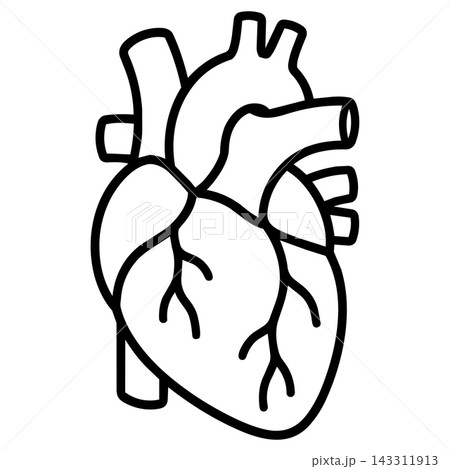 Anatomical human heart line illustration coloring book page Anatomical human heart line illustration coloring book page 143311913