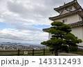 日本100名城　丸亀城の天守と瀬戸大橋 143312493