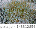 ガラスのひび割れ 143312854