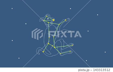 星空に浮かぶおおいぬ座のカラーイラスト(大犬と星座線) 星空に浮かぶおおいぬ座のカラーイラスト(大犬と星座線) 143313512
