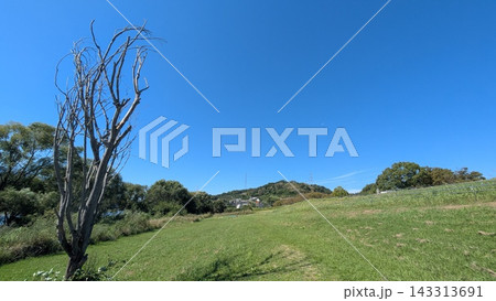 日常の風景 143313691