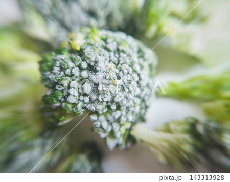 Green Broccoli Floret Carries White Frost Crystals Over Tightly Packed Buds, With Pale Branching 143313928