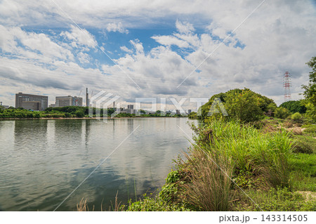 淀川風景　大阪府枚方市　高槻市 143314505