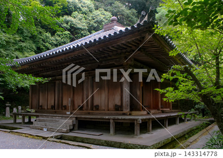 富貴寺大堂と新緑 富貴寺大堂と新緑 143314778