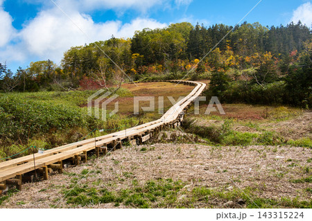 紅葉の栂池自然園　木道　長野県小谷村 143315224