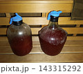 Two large glass carboys filled with dark red liquid for homemade wine fermentation. Blue latex glove airlocks on wooden bench 143315292