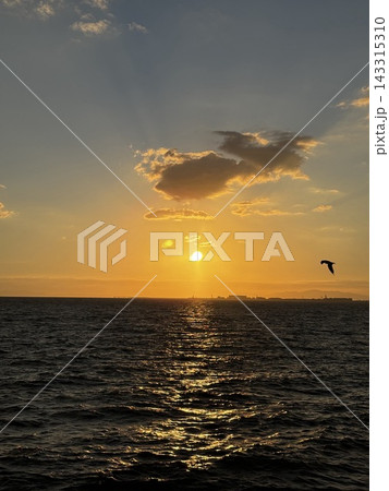 黄金色に輝く海面と夕焼け空を飛ぶ鳥 黄金色に輝く海面と夕焼け空を飛ぶ鳥 143315310