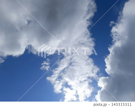 Vibrant blue sky filled with fluffy white clouds. Bright sunlight illuminating cumulus clouds from below 143315311