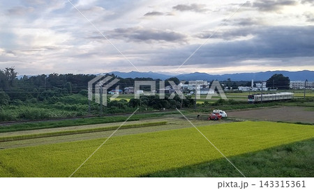 秩父鉄道 2両編成 秋模様(2026.9.18) 黄昏の中での収穫作業 台風接近 秩父鉄道 2両編成 秋模様(2026.9.18) 黄昏の中での収穫作業 台風接近 143315361