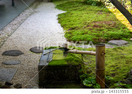 苔庭に佇む日本庭園の蹲と竹の水路 苔庭に佇む日本庭園の蹲と竹の水路 143315555