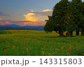 夕方の山本山ひまわり畑 143315803