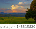 夕方の山本山ひまわり畑 143315820