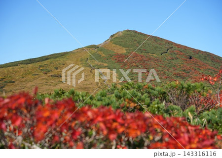 東栗駒山方面から栗駒山を望む 東栗駒山方面から栗駒山を望む 143316116
