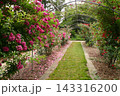 庭 143316200