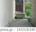 ひょっこり猫 143316340