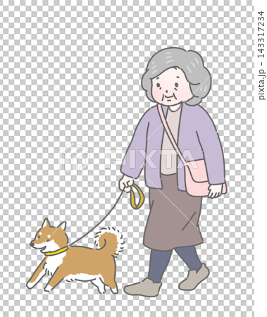 一位老婦人正在遛狗 一位老婦人正在遛狗 143317234
