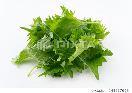 大葉 大葉 143317698