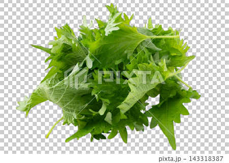 Transparent background shiso leaf cutout material 143318387