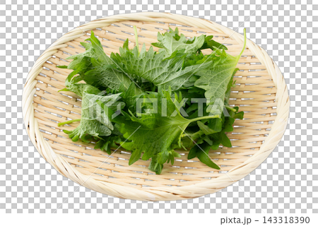 Transparent background shiso leaf cutout material Transparent background shiso leaf cutout material 143318390