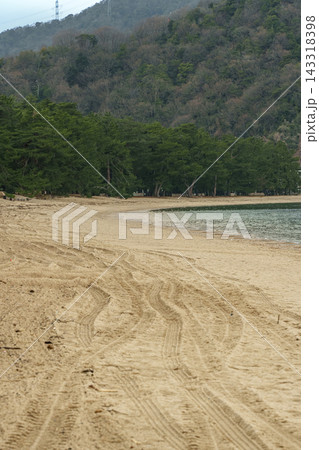 青々とした白砂青松の松林が沿岸に続く静かな砂浜海岸の景色 143318398