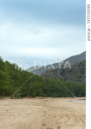 青々とした白砂青松の松林が沿岸に続く静かな砂浜海岸の景色 143318399